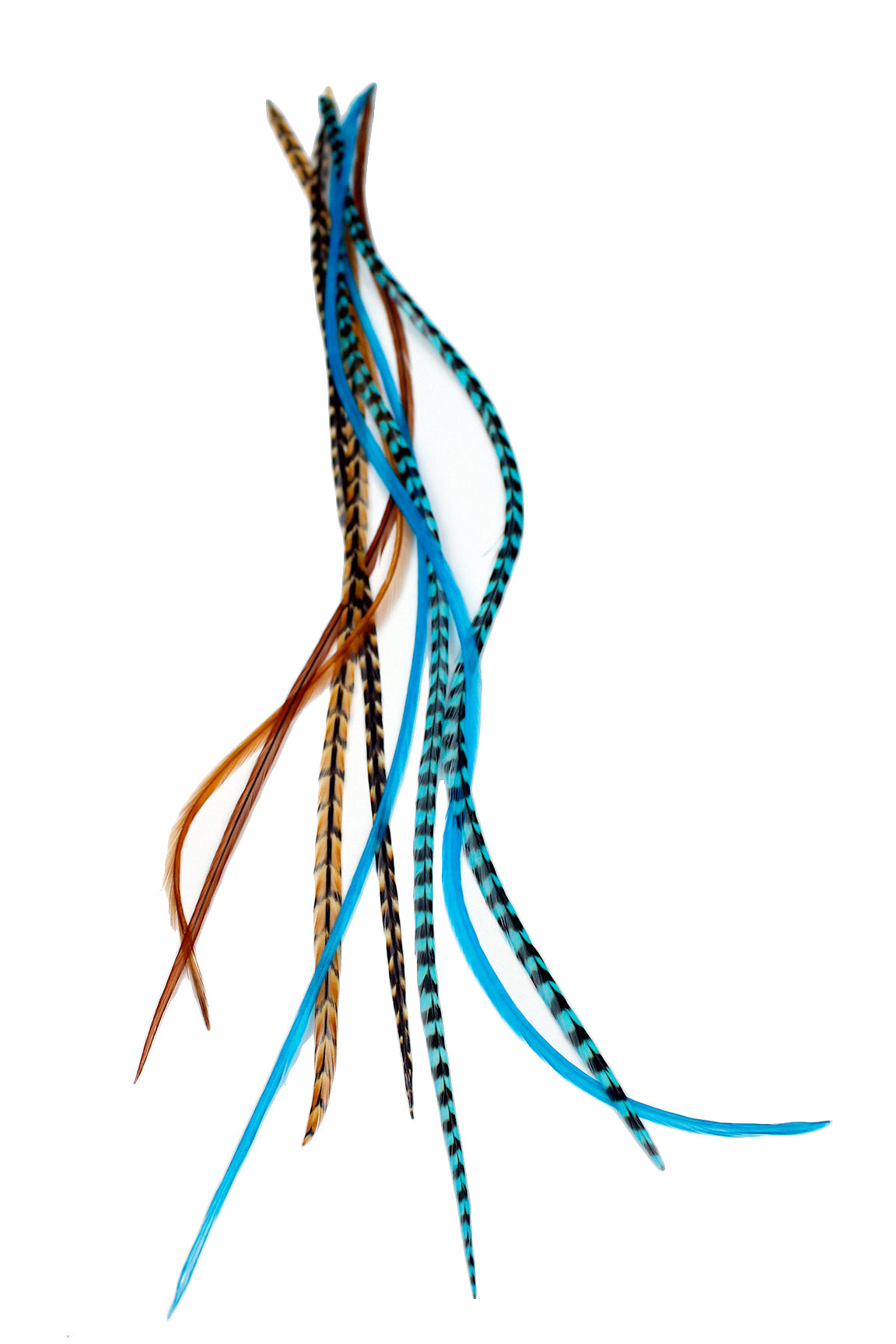 Aqua Auburn