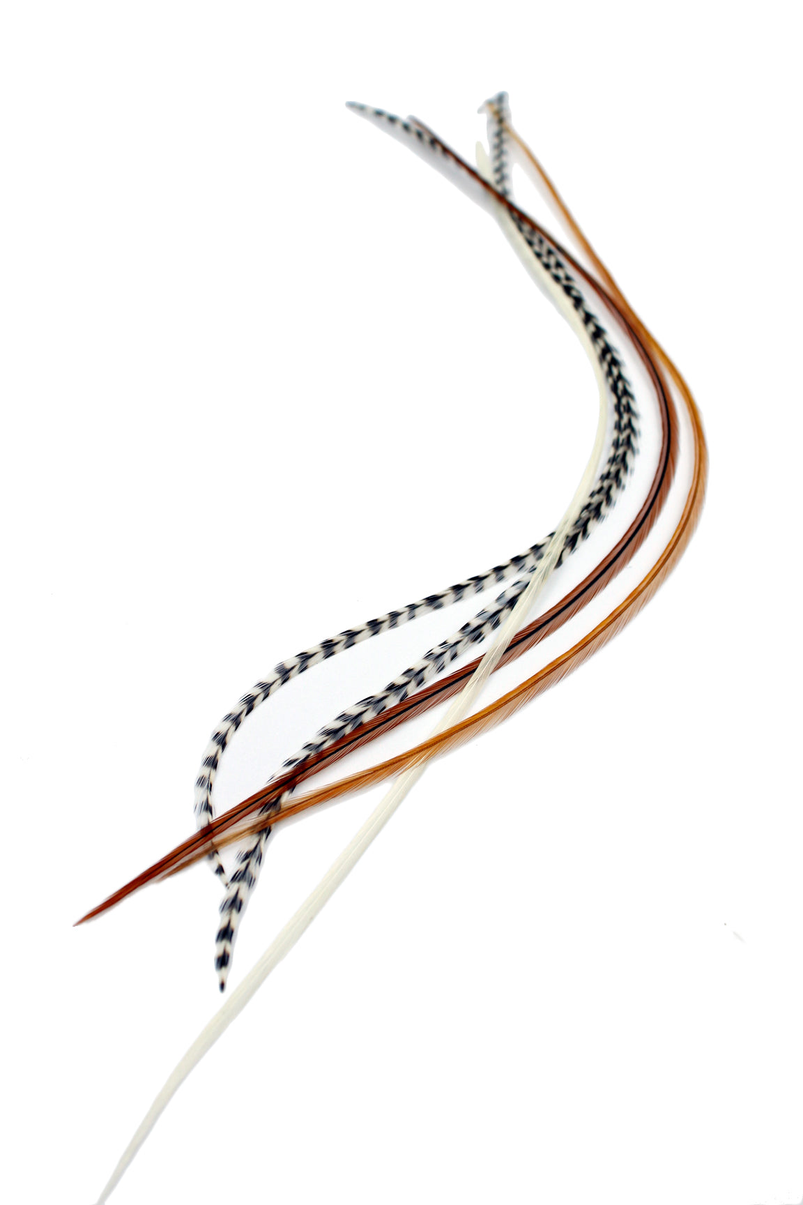 5 Long 11 -13 inch (28 - 33cm) Feather Hair Extensions - Mixed Naturals