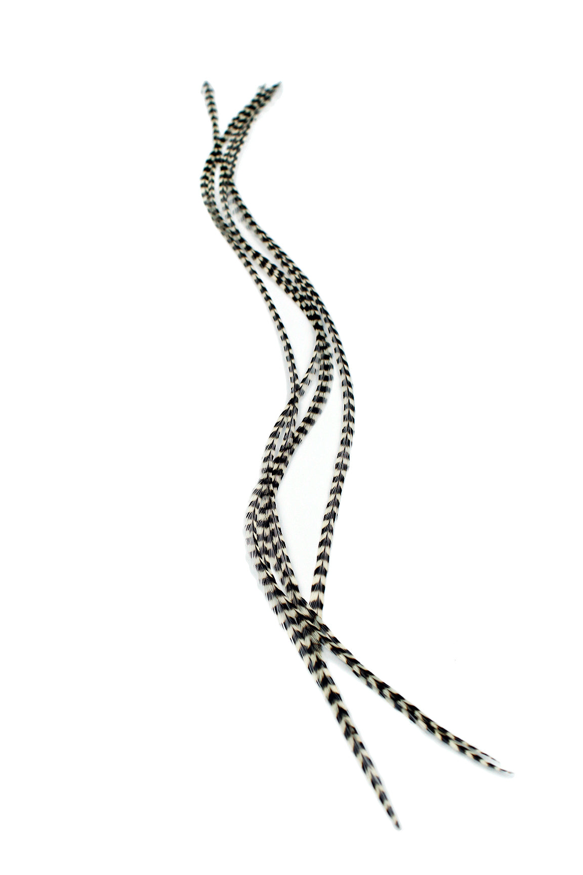 5 Long 11 -13 inch (28 - 33cm) Feather Hair Extensions - All Grizzly