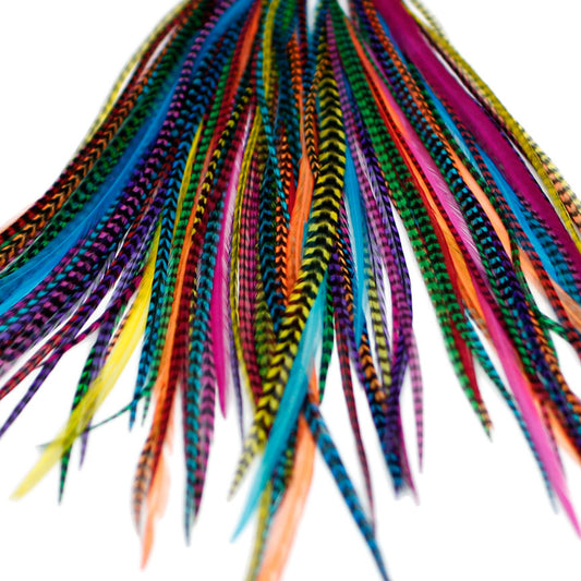 15x Discount  B-Grade Feathers - Dyed Brights