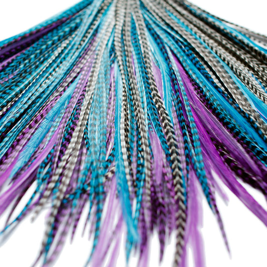 15x Discount  B-Grade Feathers - Midnight