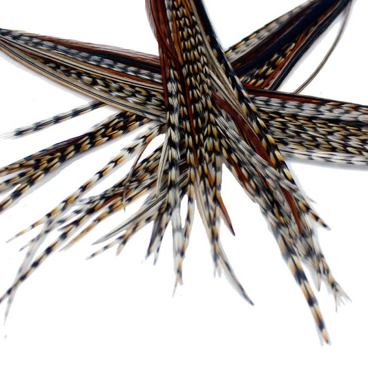 20x Short 7-9 inch Feathers - Auburn Naturals