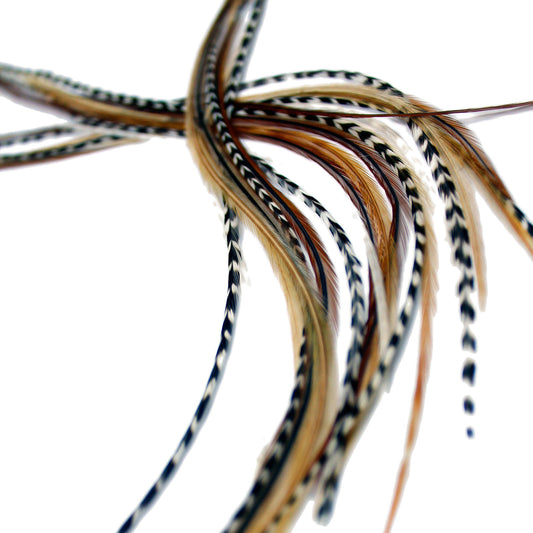 5 Long 11 -13 inch (28 - 33cm) Feather Hair Extensions - Mixed Naturals