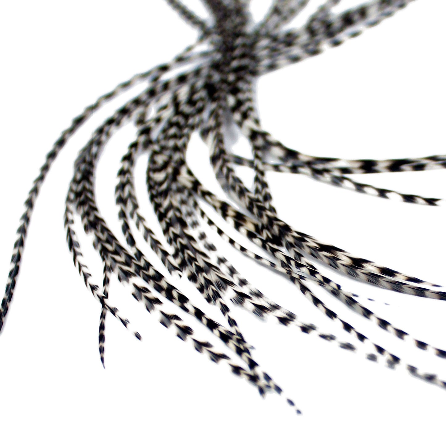 5 Long 11 -13 inch (28 - 33cm) Feather Hair Extensions - All Grizzly