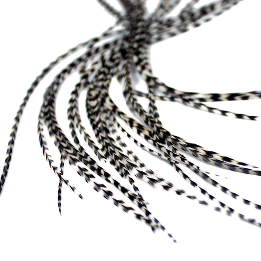 5 Long 11 -13 inch (28 - 33cm) Feather Hair Extensions - All Grizzly