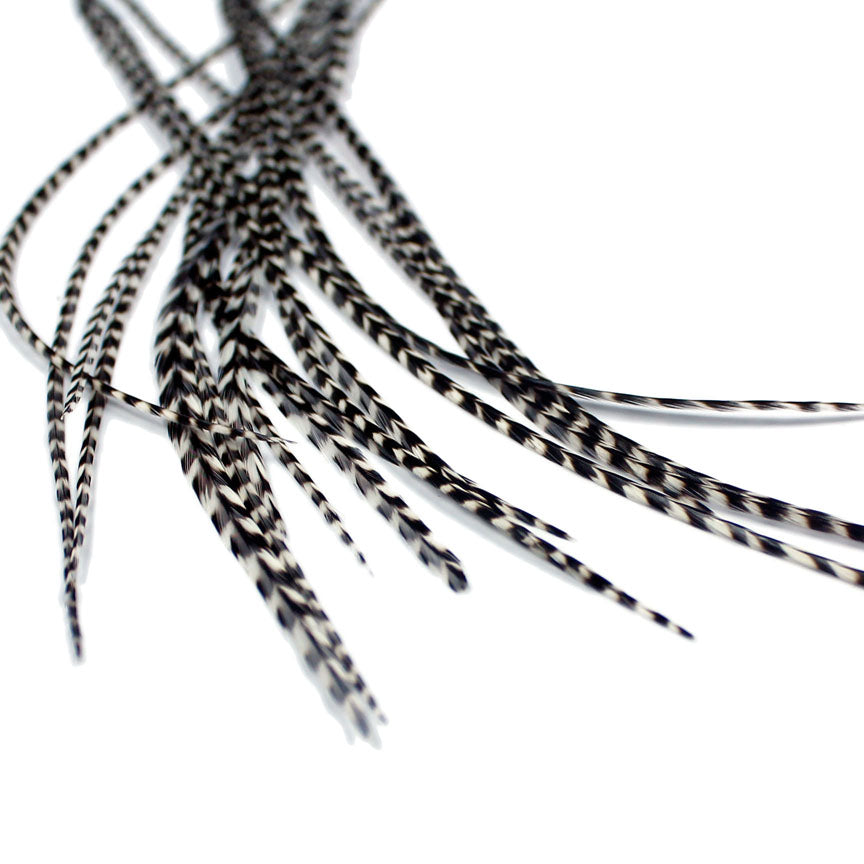 Skilton Feathers Grizzly Long Saddle Feather Mix - 6-9 Inch, 100 Pack - Natural & Dyed For Fly Tying