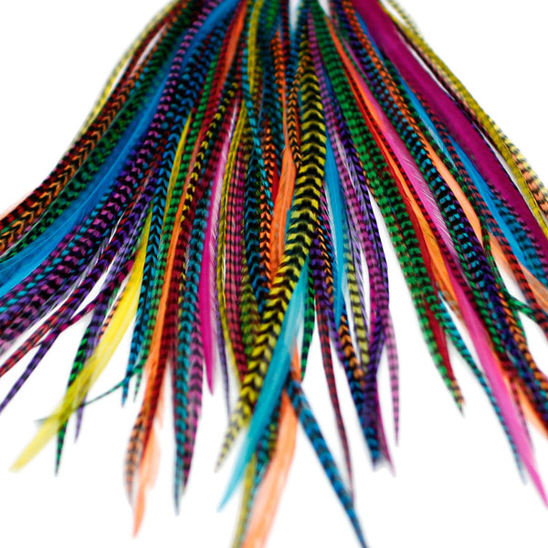 20x Discount  B-Grade Feathers - Dyed Brights