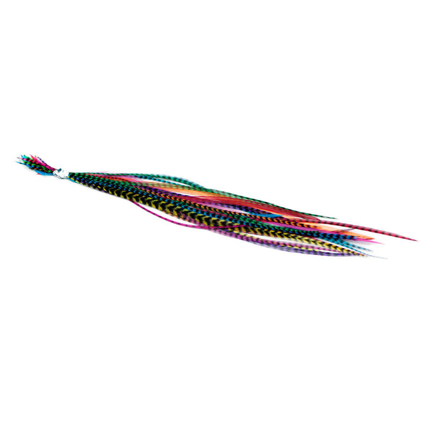 20x Discount  B-Grade Feathers - Dyed Brights